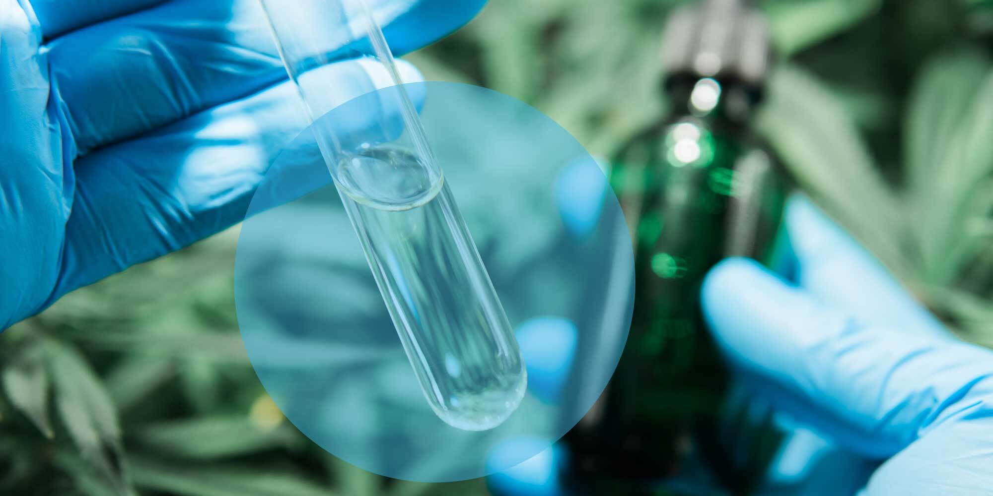 CBD Craze: Fact or Fiction