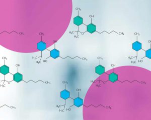 Scientific CBD and THC molecules