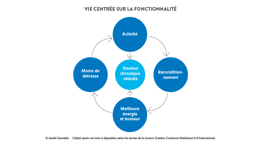 Graphique représentant la vie centrée sur fonctionnalité