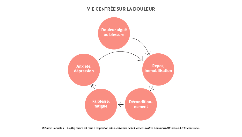 Graphique représentant la vie centrée sur la douleur