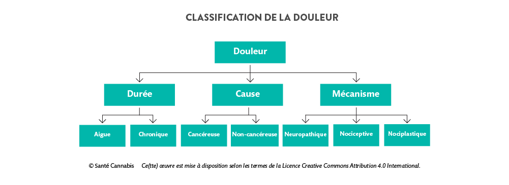 Schéma représentant la classification de la douleur