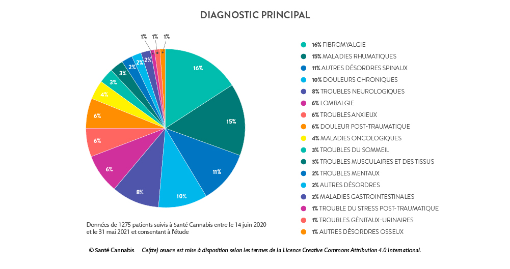 Graphique circulaire représentant le diagnostic principal en pourcentage des patients d'une clinique de cannabis médical